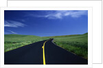 Freshly Paved Highway by Anonymous
