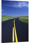 Freshly Paved Highway by Anonymous