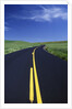 Freshly Paved Highway by Anonymous