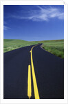 Freshly Paved Highway by Anonymous