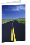 Freshly Paved Highway by Anonymous
