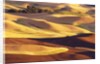 Rolling Wheat and Fallow Fields by Anonymous