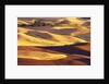 Rolling Wheat and Fallow Fields by Anonymous