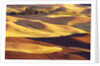 Rolling Wheat and Fallow Fields by Anonymous