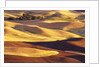 Rolling Wheat and Fallow Fields by Anonymous