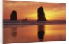 Sea Stacks at Cannon Beach by Anonymous