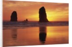 Sea Stacks at Cannon Beach by Anonymous