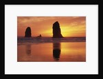 Sea Stacks at Cannon Beach by Anonymous