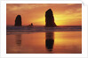 Sea Stacks at Cannon Beach by Anonymous