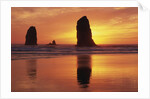Sea Stacks at Cannon Beach by Anonymous