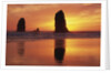 Sea Stacks at Cannon Beach by Anonymous