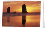 Sea Stacks at Cannon Beach by Anonymous