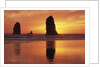 Sea Stacks at Cannon Beach by Anonymous