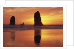 Sea Stacks at Cannon Beach by Anonymous
