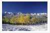 Aspens and the San Juan Mountains by Anonymous