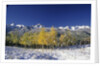 Aspens and the San Juan Mountains by Anonymous
