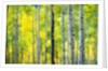 Aspen Grove in Autumn by Anonymous