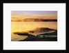 Steam Rising from Yellowstone Lake by Anonymous