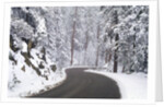 Winter Road in Yosemite National Park by Anonymous