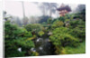 Japanese Garden by Anonymous