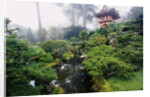 Japanese Garden by Anonymous