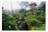 Japanese Garden by Anonymous