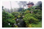 Japanese Garden by Corbis