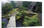 Japanese Garden by Anonymous