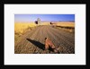 Cowboy Boots on Gravel Road by Anonymous