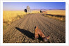 Cowboy Boots on Gravel Road by Anonymous