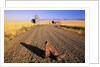 Cowboy Boots on Gravel Road by Anonymous