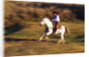 Cowboy Horseback Riding at Ponderosa Ranch by Anonymous