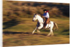 Cowboy Horseback Riding at Ponderosa Ranch by Anonymous