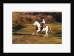 Cowboy Horseback Riding at Ponderosa Ranch by Anonymous