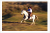 Cowboy Horseback Riding at Ponderosa Ranch by Anonymous