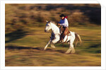 Cowboy Horseback Riding at Ponderosa Ranch by Anonymous