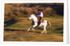 Cowboy Horseback Riding at Ponderosa Ranch by Anonymous