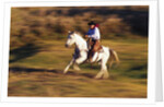 Cowboy Horseback Riding at Ponderosa Ranch by Anonymous