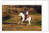 Cowboy Horseback Riding at Ponderosa Ranch by Anonymous