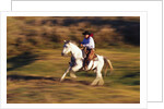 Cowboy Horseback Riding at Ponderosa Ranch by Anonymous