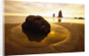 Tide Pool at Cannon Beach by Anonymous