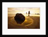 Tide Pool at Cannon Beach by Anonymous