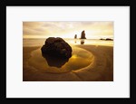 Tide Pool at Cannon Beach by Anonymous