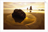 Tide Pool at Cannon Beach by Anonymous