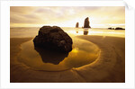 Tide Pool at Cannon Beach by Anonymous