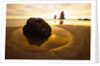 Tide Pool at Cannon Beach by Anonymous