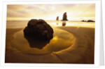 Tide Pool at Cannon Beach by Anonymous
