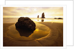Tide Pool at Cannon Beach by Anonymous