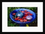 Leaves Floating in a Bird Bath by Anonymous