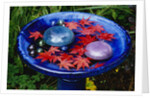 Leaves Floating in a Bird Bath by Anonymous
